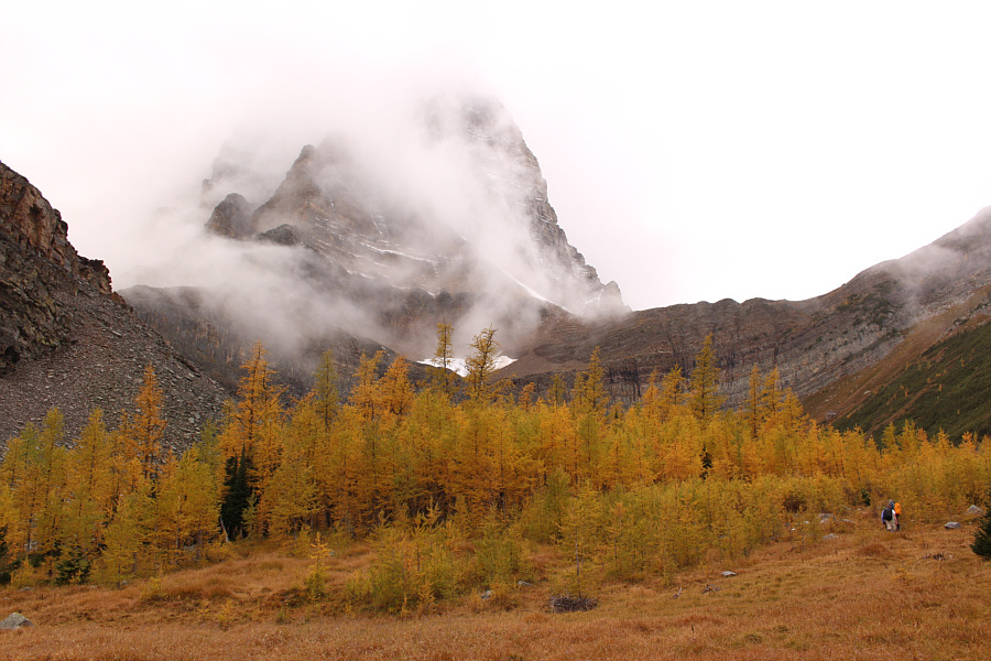 This is what Zora came to see today.