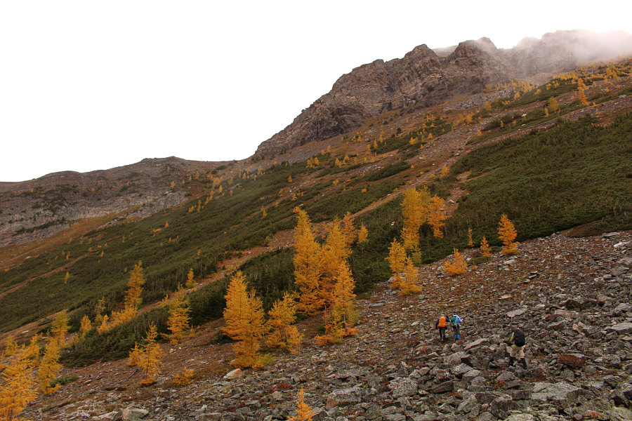 The real grunt work begins!