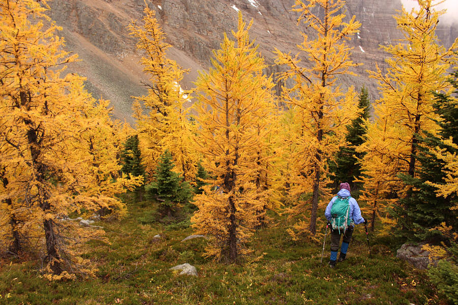 Really nice hiking here.