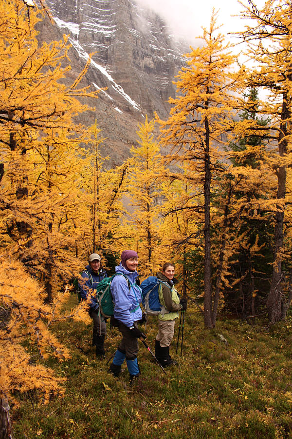 Black Larches Matter (you had to be there)!
