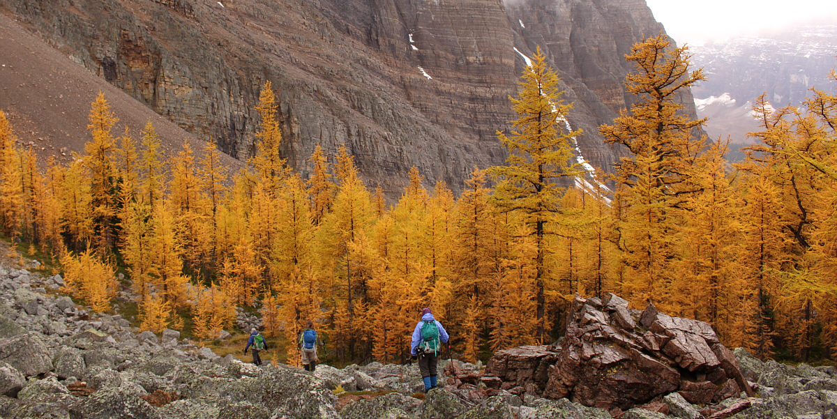 Who needs blue skies??