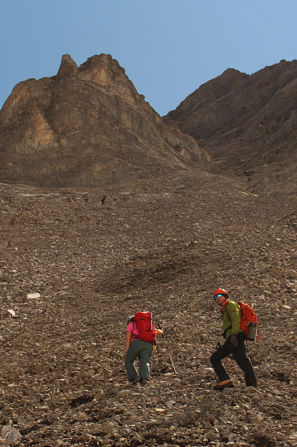 This did not suck as much as I thought it would!