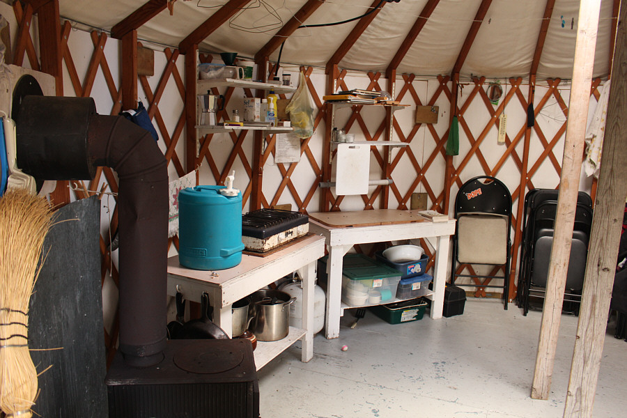 Except for the mice...