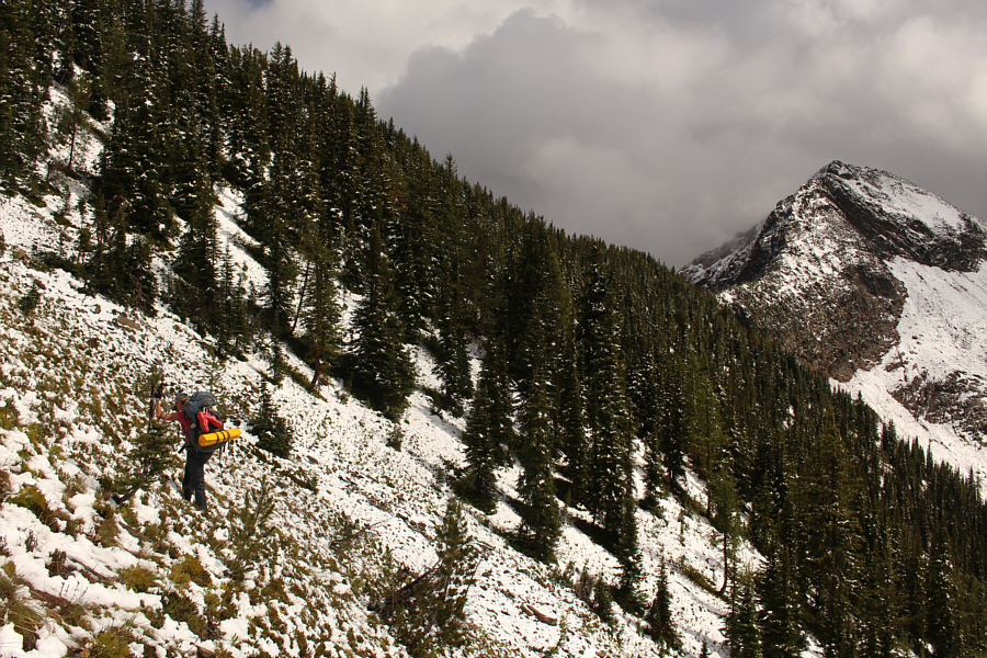 There's actually a trail further to climber's right that ascends more moderately.
