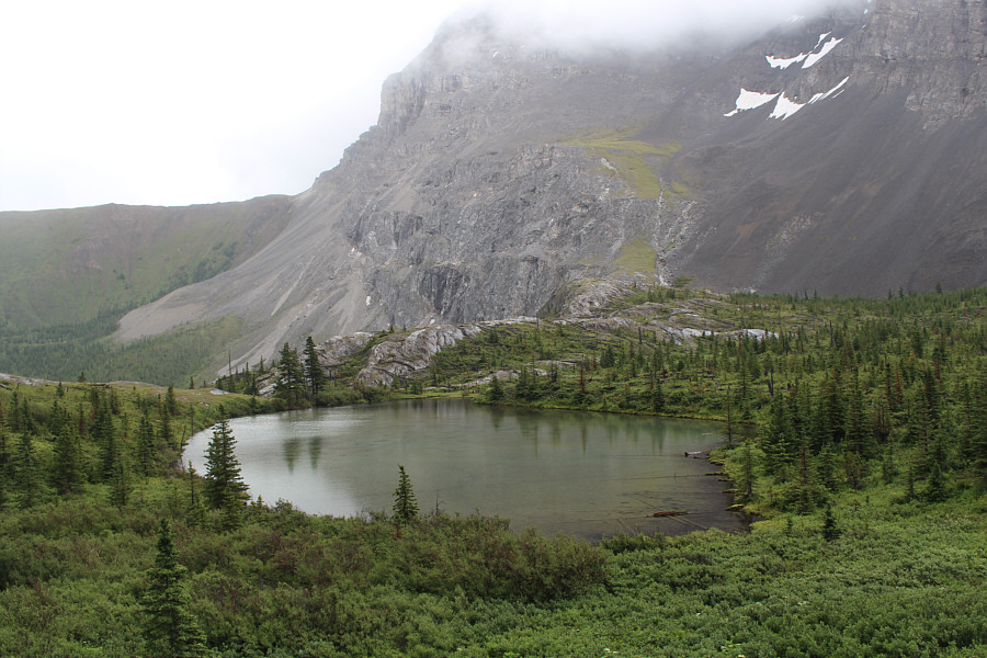 This tarn is virtually surrounded by thick bush--it's not easy to get around it!