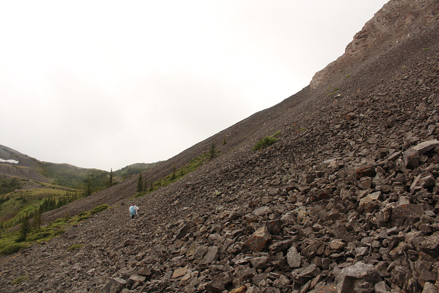 Let the slogging begin...