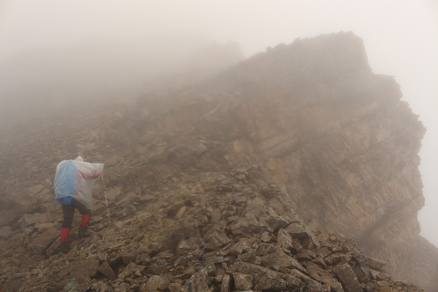 Well, there's no turning back now!