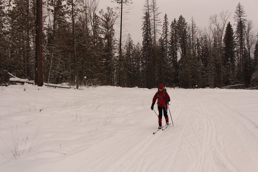 Zosia is back in her "happy place"!