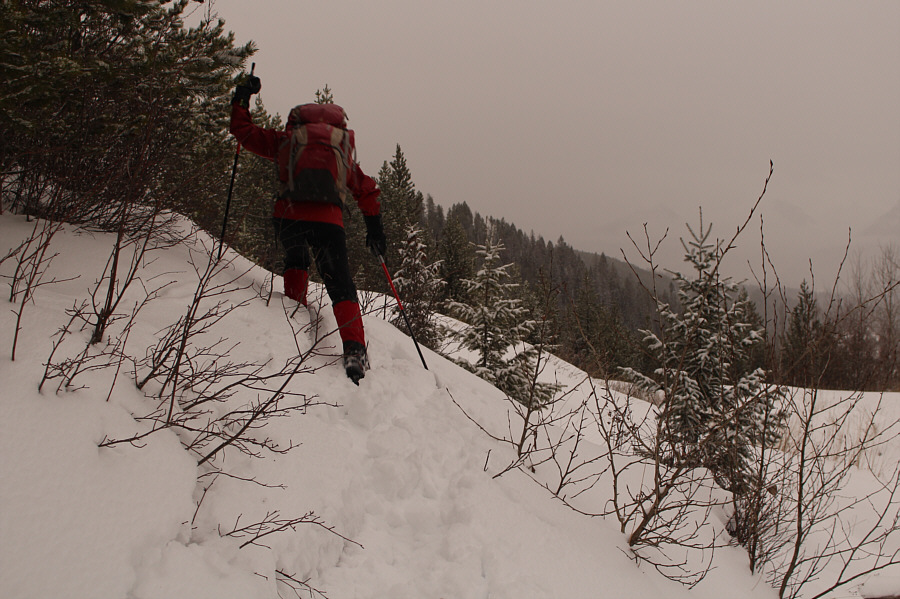 Yeah, we're not too keen on breaking trail through deep snow just for the hell of it!