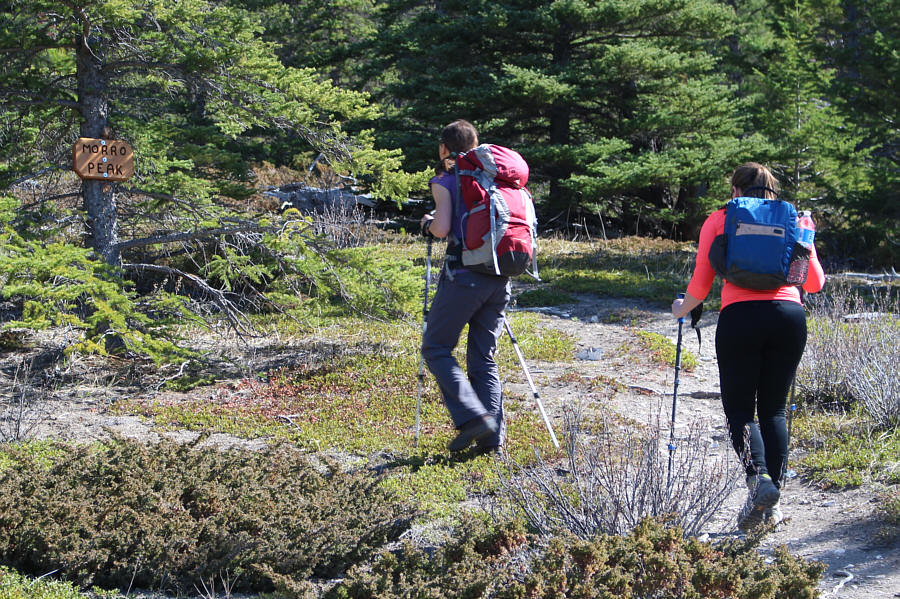 It seems almost too obvious!