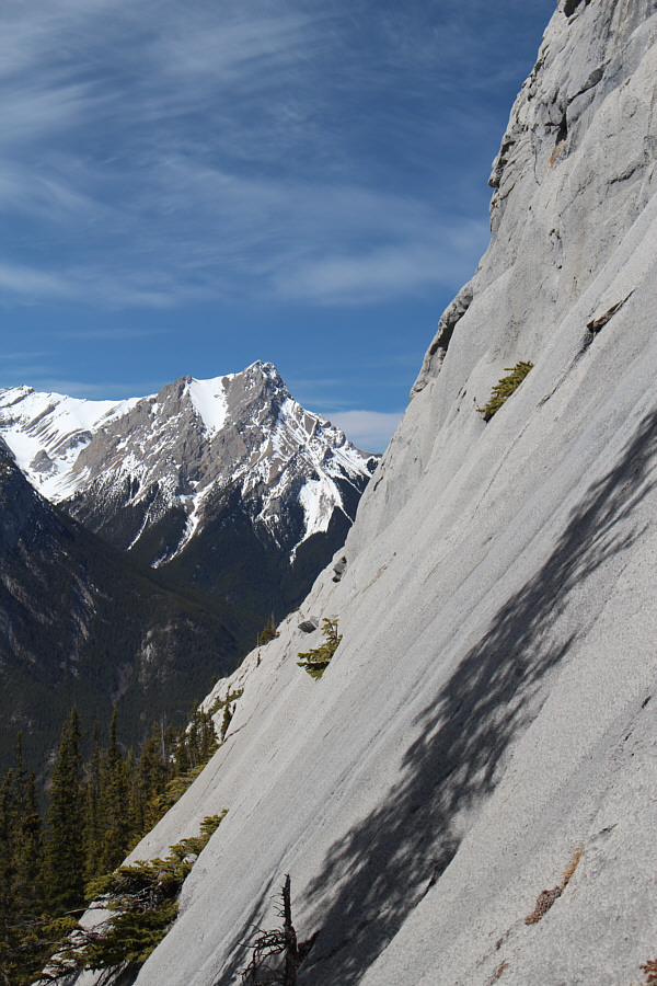 Yet another scramble to add to my to-do list!