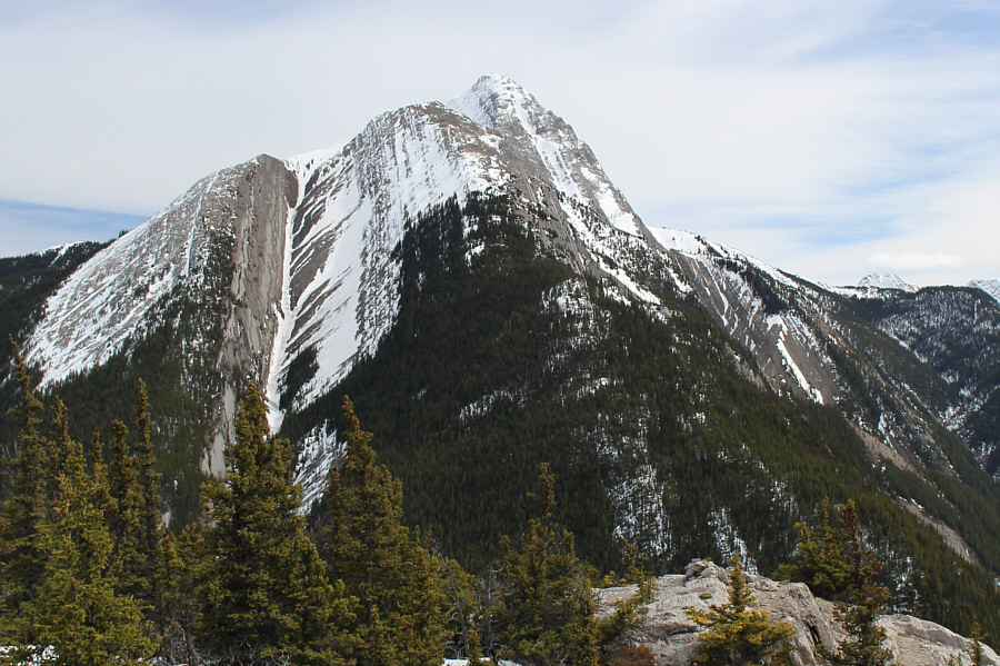 I can still hear that bear's roar...