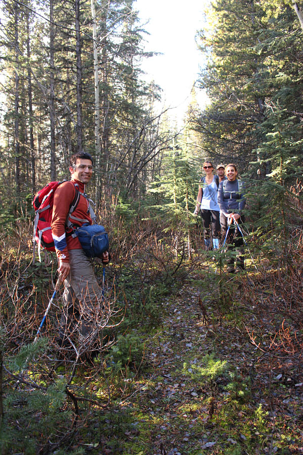 This IS "The Road Not Taken"!