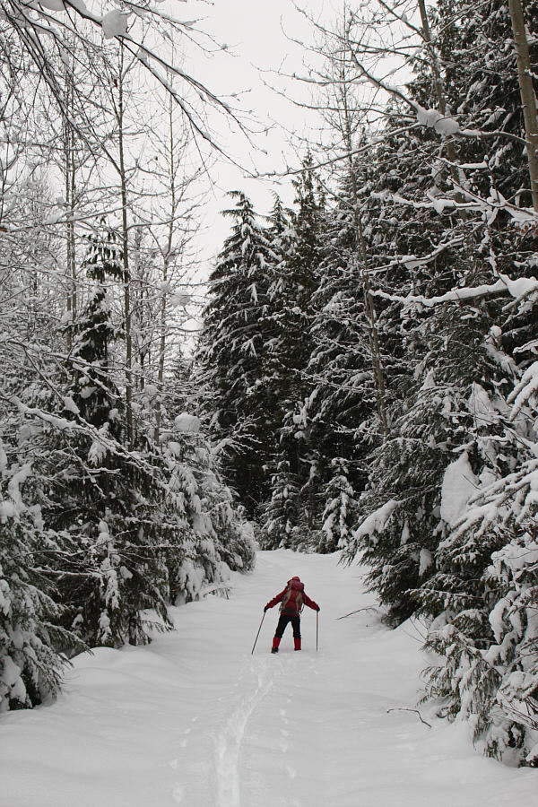 Are we having fun yet?