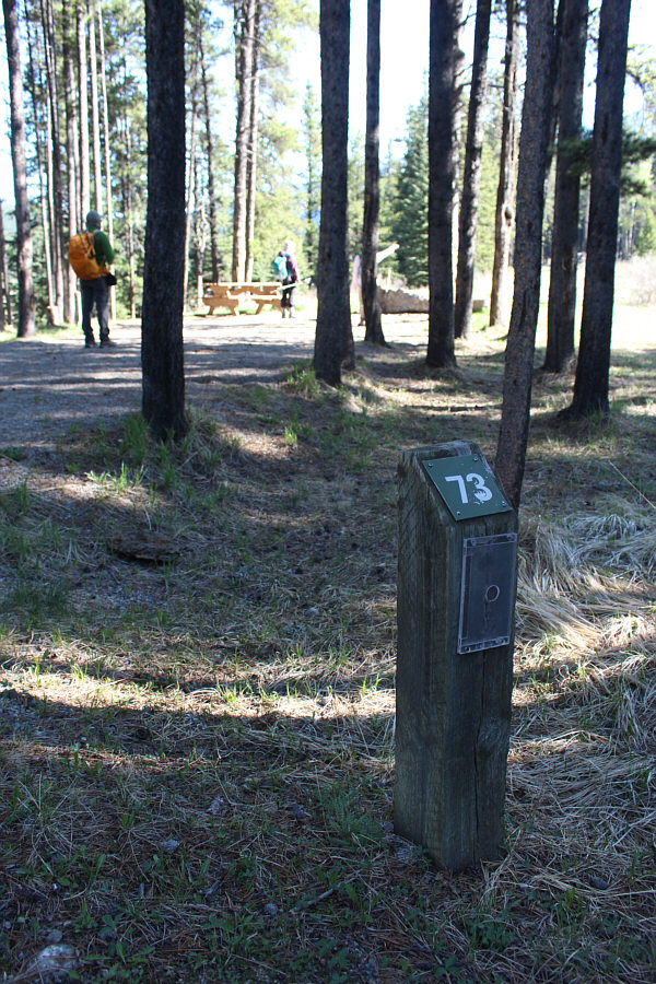 So, what if the site is occupied? Just cut through, or stop for a beer?