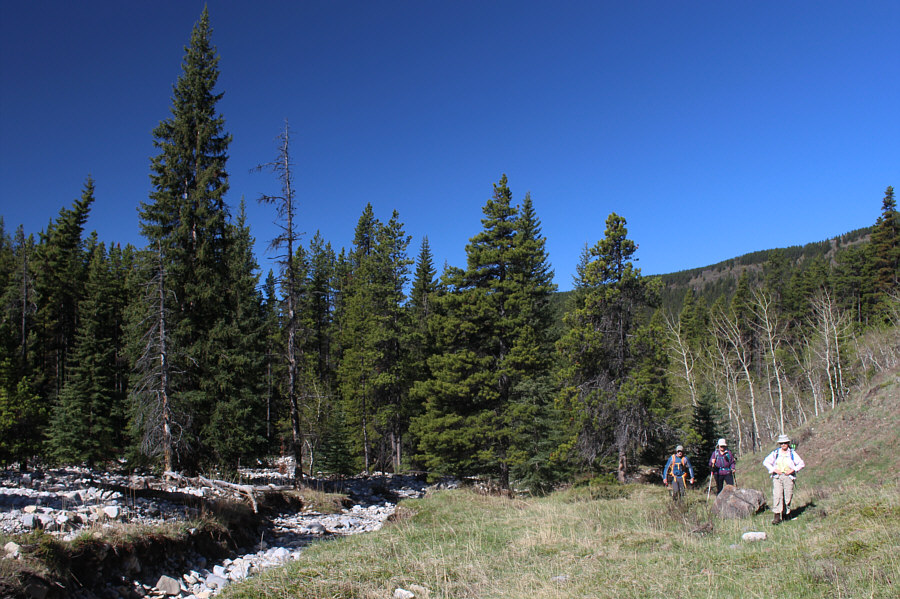 It's best to stay out of the tedious creekbed.