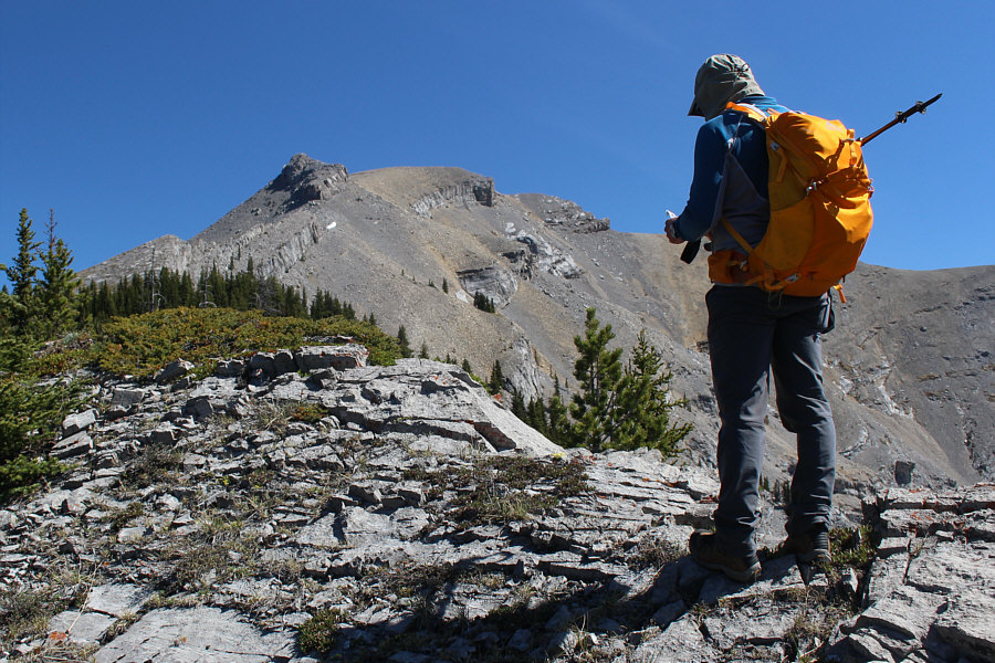 Looks interesting ahead...