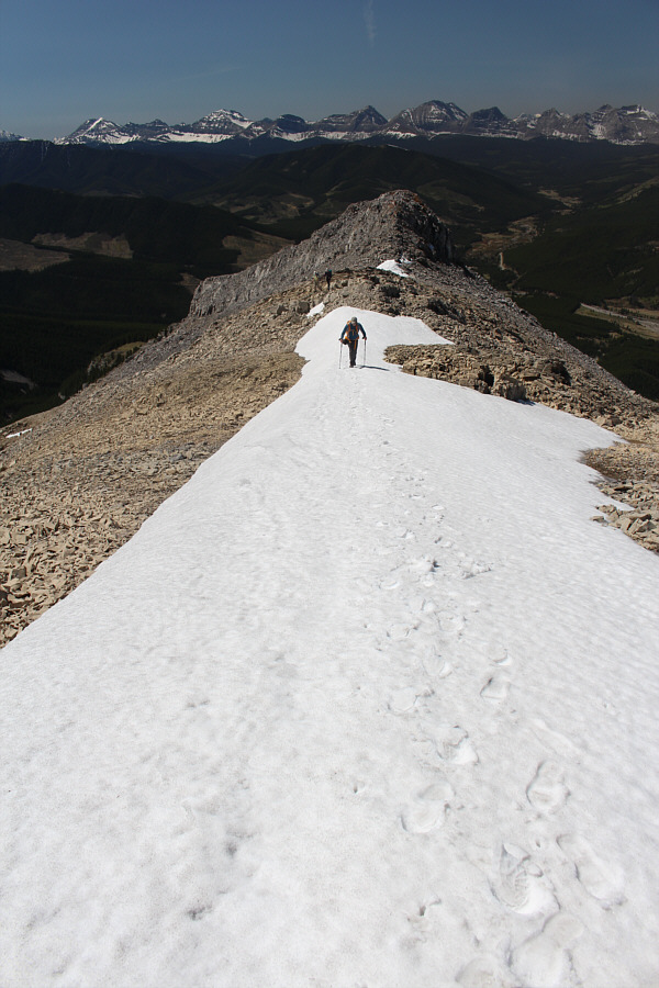 Back on easy street.