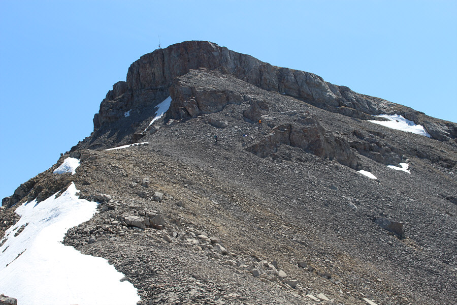 No turning back now!