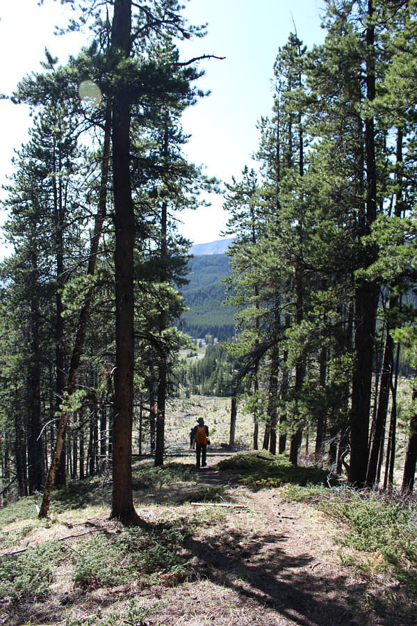 I would hate to go up this way!