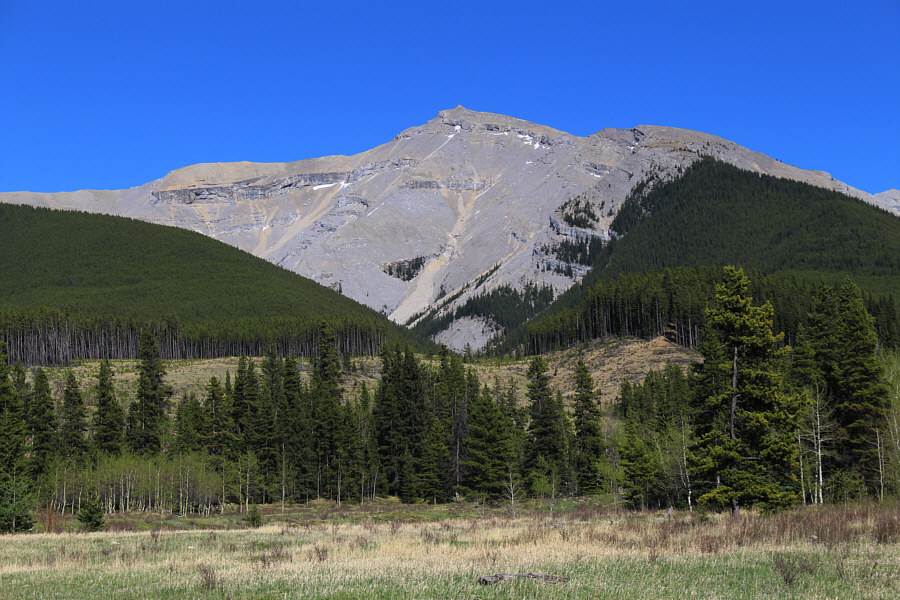 Of course, the clear-cut wasn't there 19 years ago...