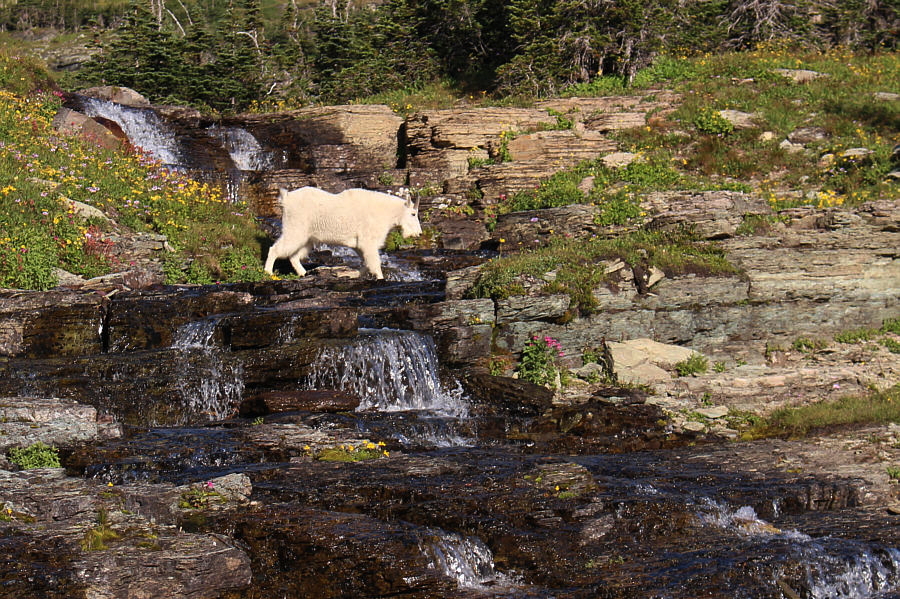 Ain't got no time for starin'!