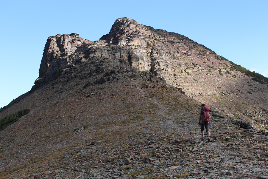 No worries...we got this!