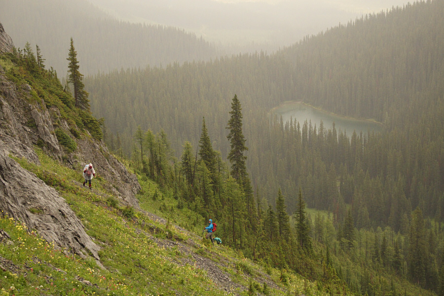 It is raining steadily now...sigh.