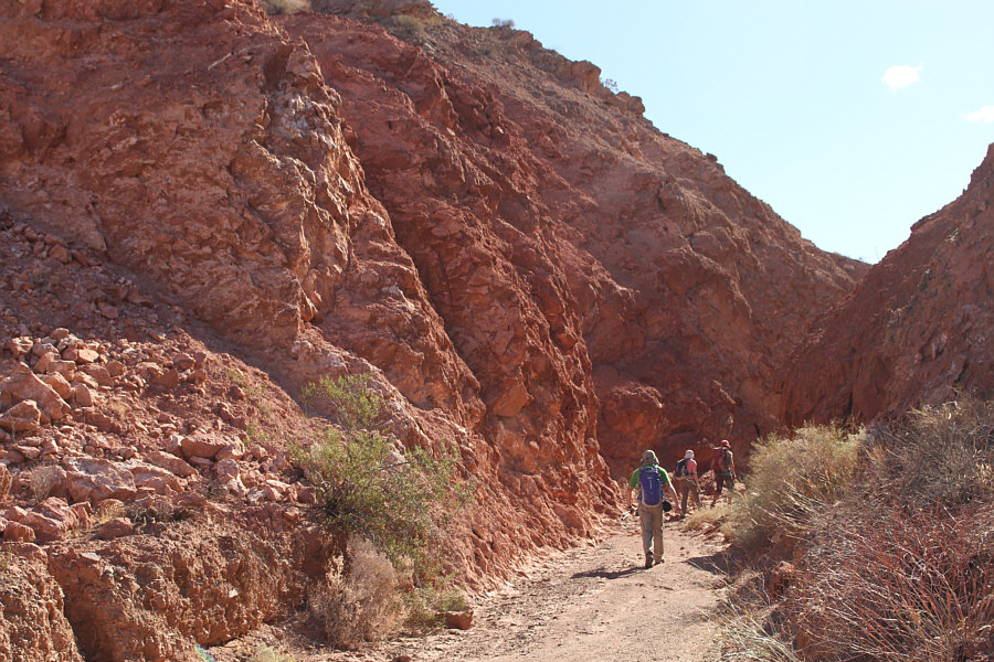 I hope Bob knows which way to go...