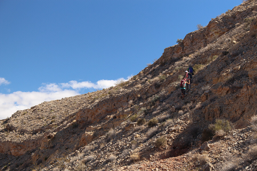 Yep, we can do this!