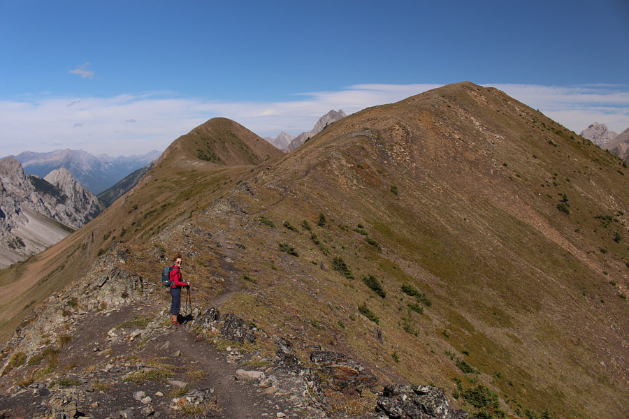 Can we count this as a separate summit?