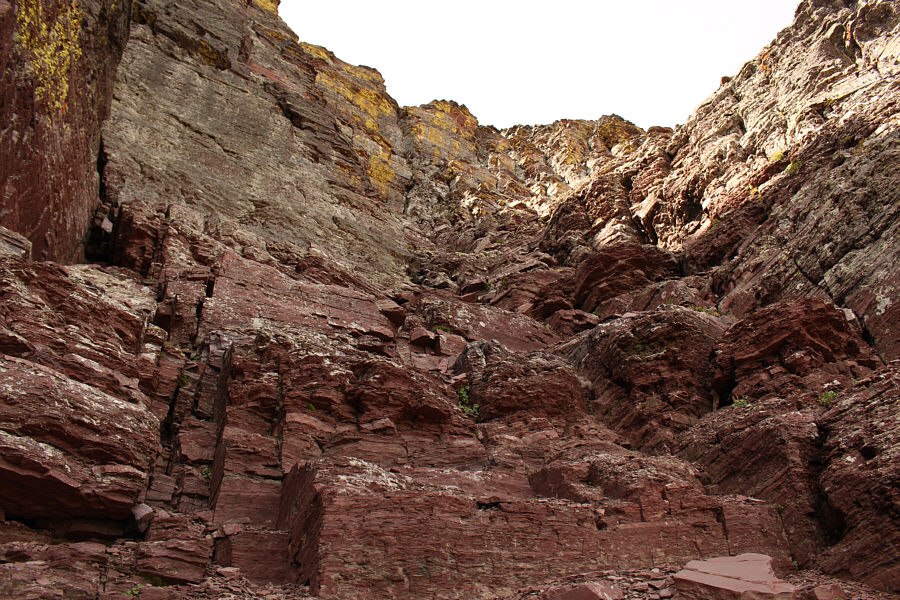 This is what I came here for.