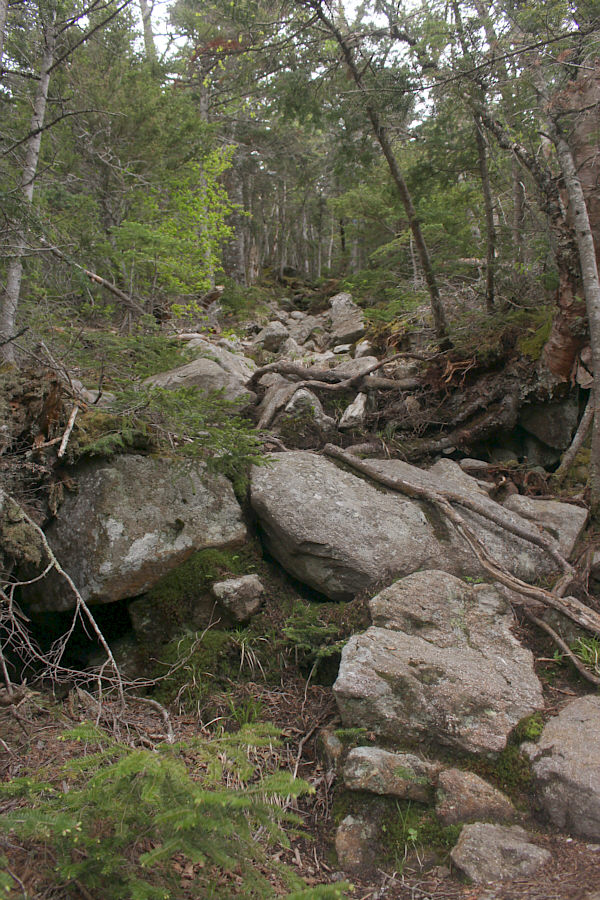 Whoever built this "trail" evidently had never heard of the term, "switchback"!