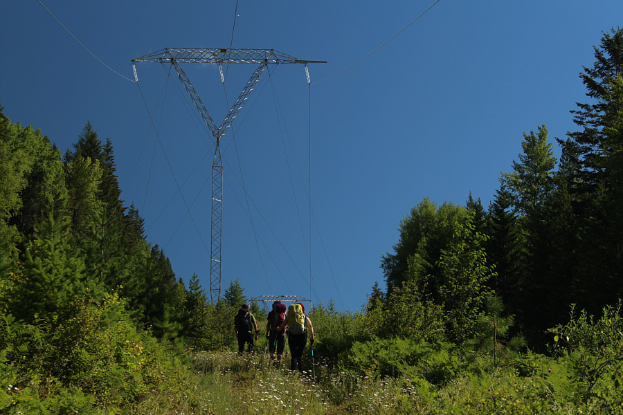 What's that humming noise??