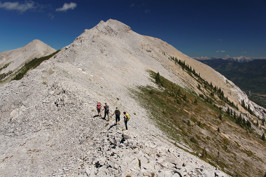 No route-finding necessary!