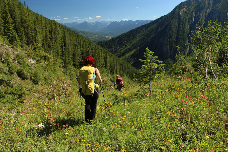 So far, it's not bad...