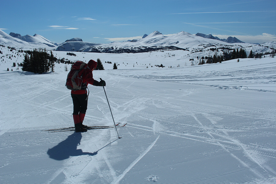 This is where the adventure really begins!