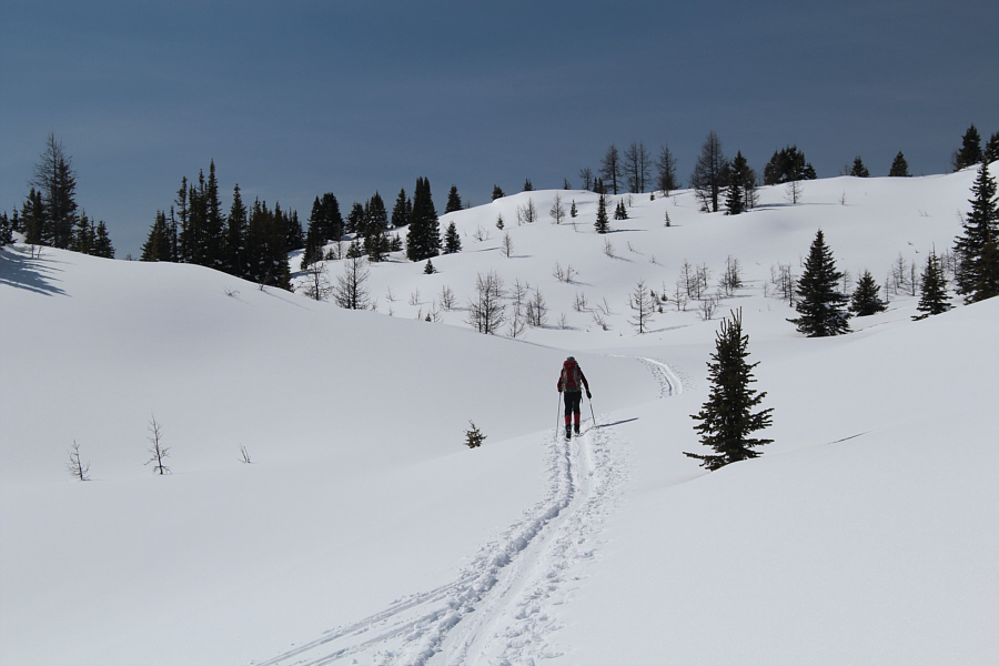 At this point, we were still uncommitted about ascending Quartz Ridge.