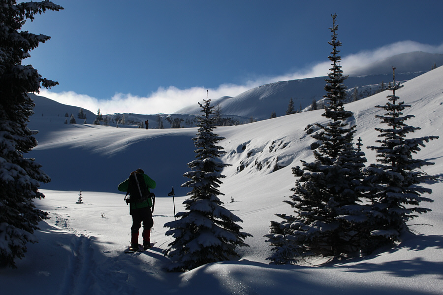 Nice to finally get out into the sunlight!