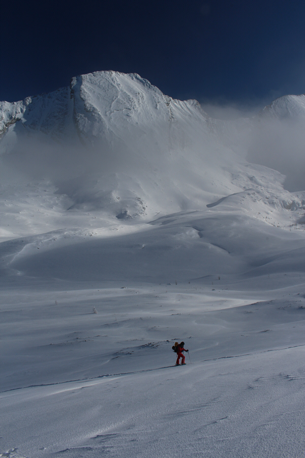 Nadia is slowing down, but she still keeps going like the Energizer rabbit!