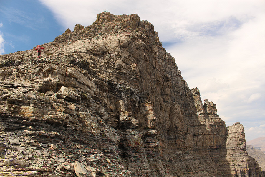 Zosia is really motoring now!