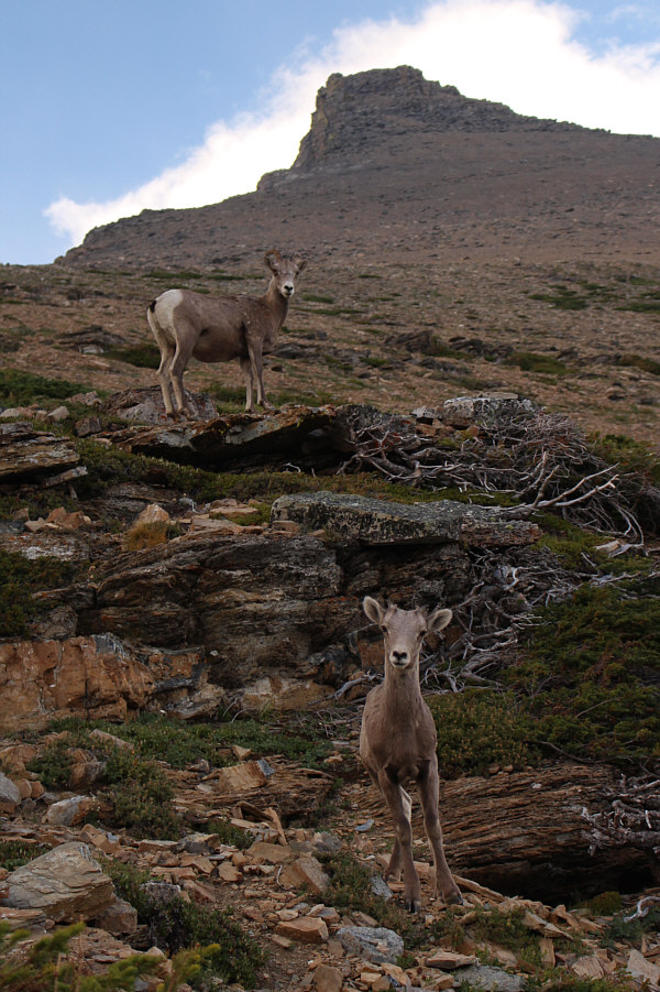 You're getting sleepy...