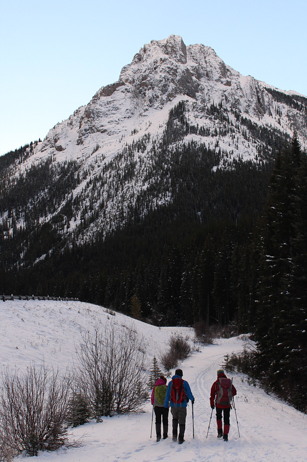 Maybe we should have brought skis?