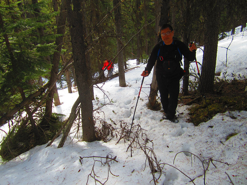 Yep, we definitely lost the trail at this point!