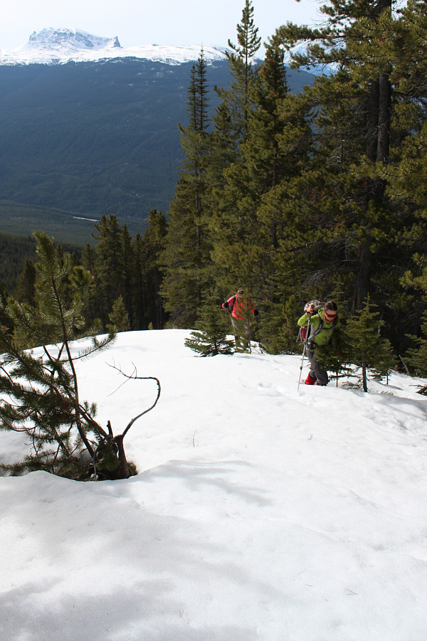 A quantum of solace.