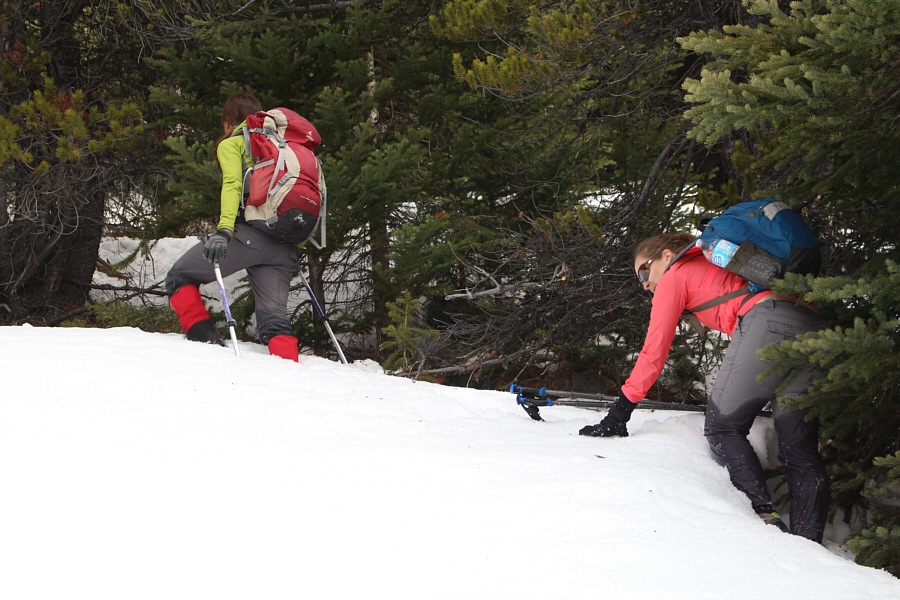 Ah well, it beats wandering aimlessly around the streets of Jasper...or does it?