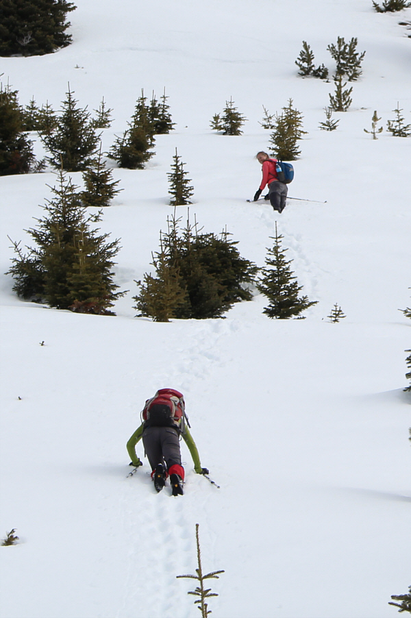 We're going for broke now!