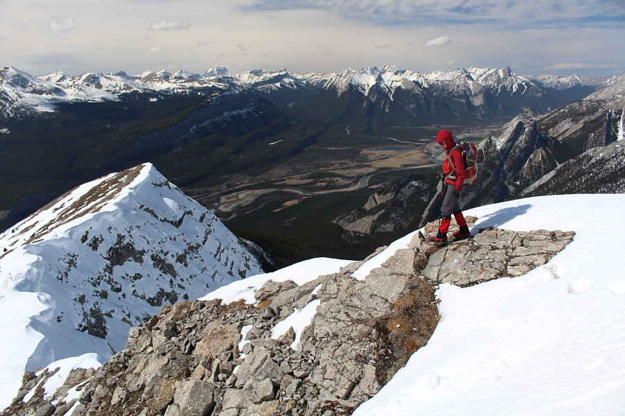 Still looking good, Zosia!