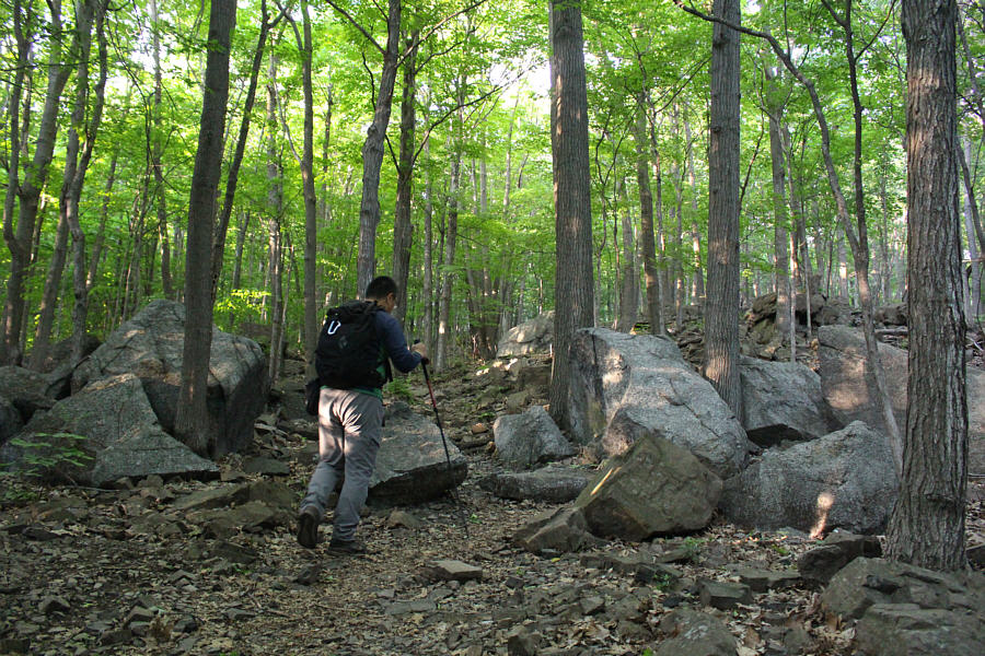 Technically, I'm already off-trail here!