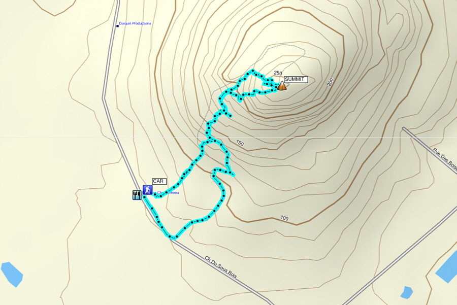 An excellent evening outing!